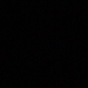 Meet your Posher, Angelina